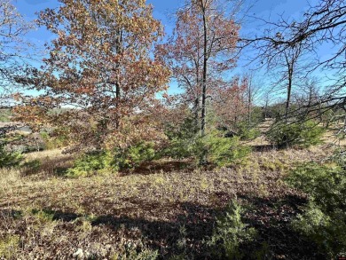 Lake Lot For Sale in Mountain Home, Arkansas