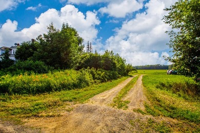 Prime opportunity to build your business or home on 6.7 acres - photo 6