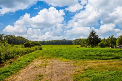 Prime opportunity to build your business or home on 6.7 acres - photo 7