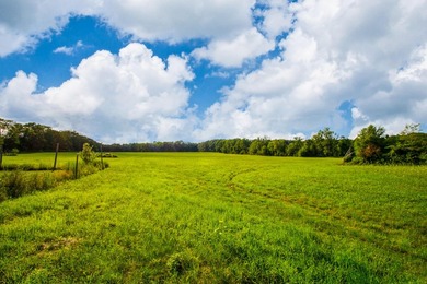 Prime opportunity to build your business or home on 6.7 acres - photo 8