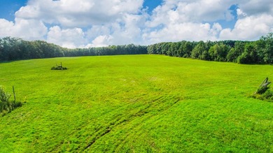 Prime opportunity to build your business or home on 6.7 acres - photo 9