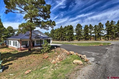 Lake Home For Sale in Pagosa Springs, Colorado