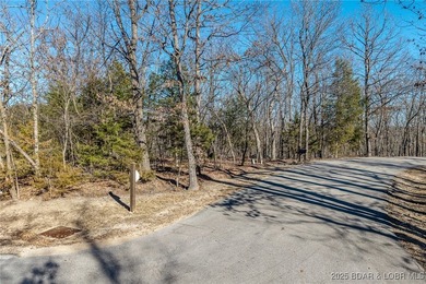 Surrounded by mature trees and natural Ozarks beauty, this - photo 11