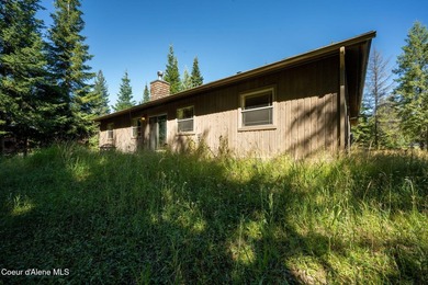 Your own private paradise! This 2012 custom-built Priest Lake - photo 17