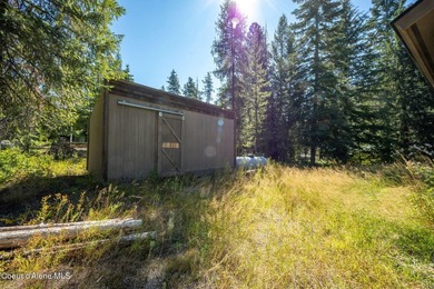 Your own private paradise! This 2012 custom-built Priest Lake - photo 18