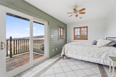 Set on 3 acres in the hills of Hector, this 3,100 sq ft - photo 23