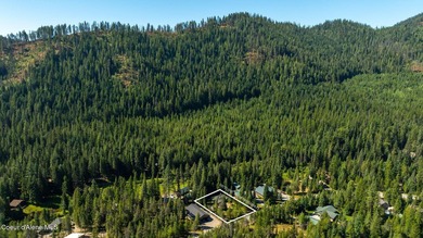 Your own private paradise! This 2012 custom-built Priest Lake - photo 27