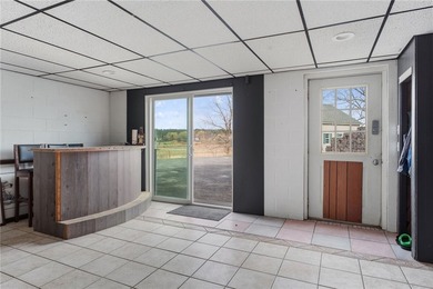 Set on 3 acres in the hills of Hector, this 3,100 sq ft - photo 29
