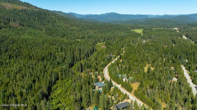 Your own private paradise! This 2012 custom-built Priest Lake - photo 30