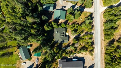 Your own private paradise! This 2012 custom-built Priest Lake - photo 32