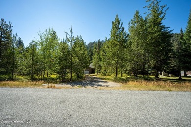 Your own private paradise! This 2012 custom-built Priest Lake - photo 33
