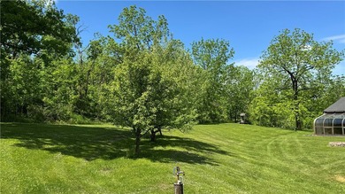 Set on 3 acres in the hills of Hector, this 3,100 sq ft - photo 39