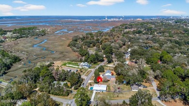 Completely remodeled coastal retreat on beautiful Amelia Island! - photo 46