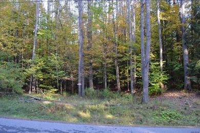 Wooded 3 acre parcel to build your primary or getaway dream home - photo 2