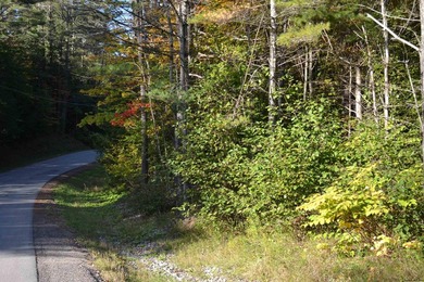 Wooded 3 acre parcel to build your primary or getaway dream home - photo 3