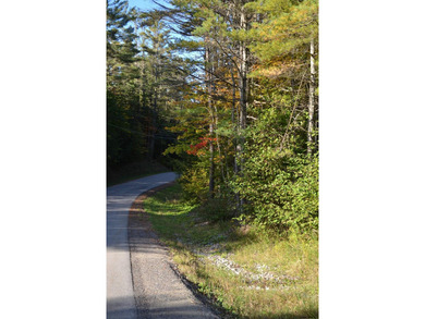 Wooded 3 acre parcel to build your primary or getaway dream home - photo 4