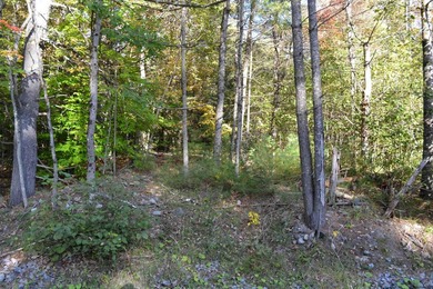 Wooded 3 acre parcel to build your primary or getaway dream home - photo 5