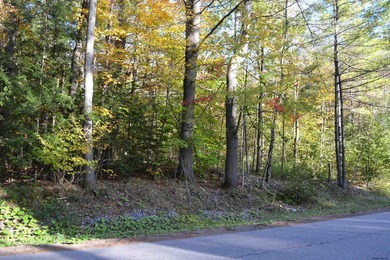 Wooded 3 acre parcel to build your primary or getaway dream home - photo 6