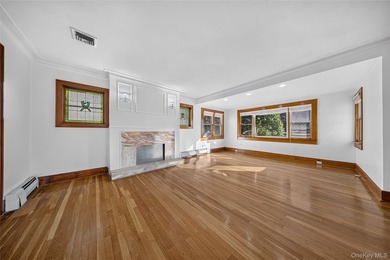 LAND! LAND!! LAND!!! Nestled in Great Neck on a very quiet block - photo 6