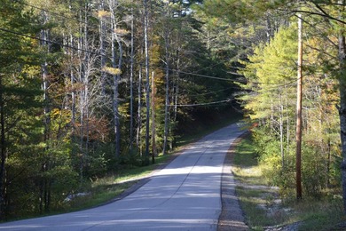 Wooded 3 acre parcel to build your primary or getaway dream home - photo 7