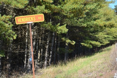 Wooded 3 acre parcel to build your primary or getaway dream home - photo 8