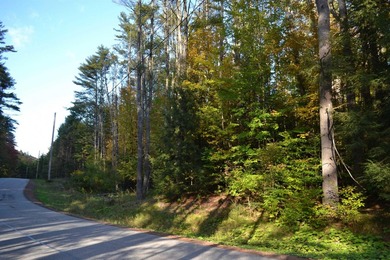 Wooded 3 acre parcel to build your primary or getaway dream home - photo 9