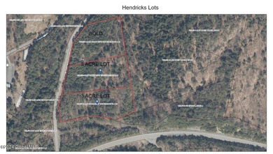 Wooded 3 acre parcel to build your primary or getaway dream home - photo 10