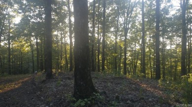 Lake Acreage For Sale in Glenwood, Arkansas