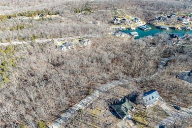 Surrounded by mature trees and natural Ozarks beauty, this - photo 11