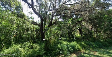 Beautiful unspoiled 34 acres with gorgeous flora and fauna - photo 4