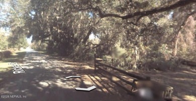 Beautiful unspoiled 34 acres with gorgeous flora and fauna - photo 5
