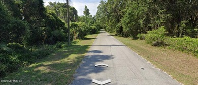 Beautiful unspoiled 34 acres with gorgeous flora and fauna - photo 6