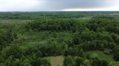 Lake Acreage Sale Pending in Marcellus, Michigan