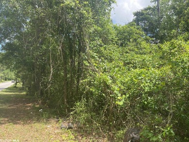 Beautiful home site with a pond. Ready for your dream home close - photo 1