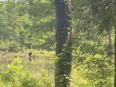 Beautiful home site with a pond. Ready for your dream home close - photo 2