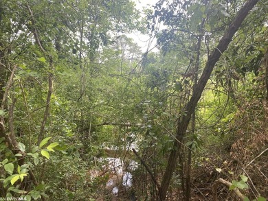 Beautiful home site with a pond. Ready for your dream home close - photo 5