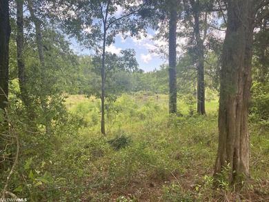 Beautiful home site with a pond. Ready for your dream home close - photo 6