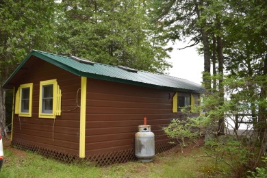 Lake Home For Sale in Burlington, Maine