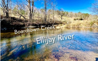 Ellijay River Acreage For Sale in Cherry Log Georgia