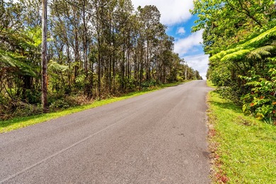 Here's your opportunity to secure two adjacent lots to be sold - photo 2