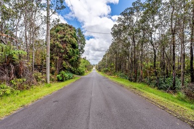 Here's your opportunity to secure two adjacent lots to be sold - photo 9