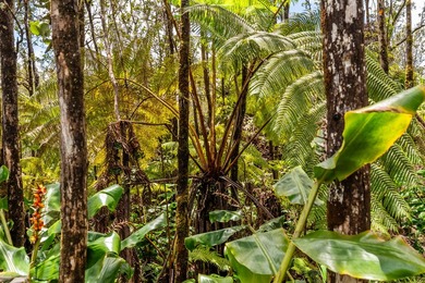 Here's your opportunity to secure two adjacent lots to be sold - photo 10