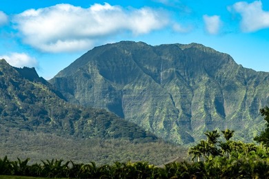 Set within the prestigious Hanalei Garden Farms Estates, this - photo 5