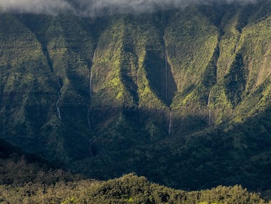 Set within the prestigious Hanalei Garden Farms Estates, this - photo 7