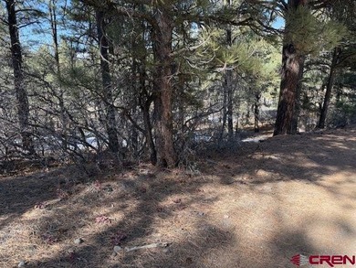 Lake Lot For Sale in Pagosa Springs, Colorado