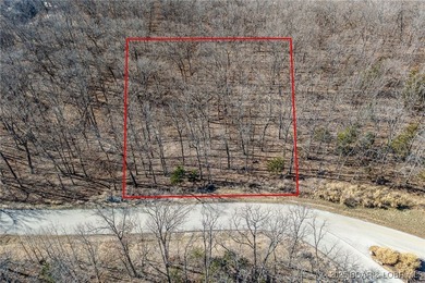 Surrounded by mature trees and natural Ozarks beauty, this - photo 11