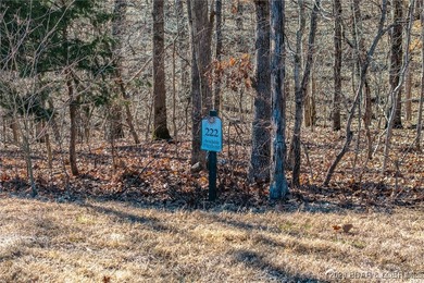 Surrounded by mature trees and natural Ozarks beauty, this - photo 14