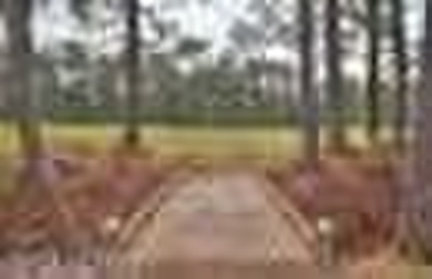 Private, secluded, and spacious all describe this amazing to be - photo 31