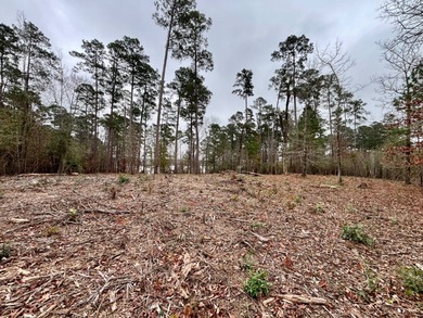 Toledo Bend Reservoir Lot For Sale in Many Louisiana