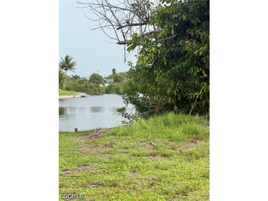 Build your Florida dream home on this affordable waterfront - photo 2
